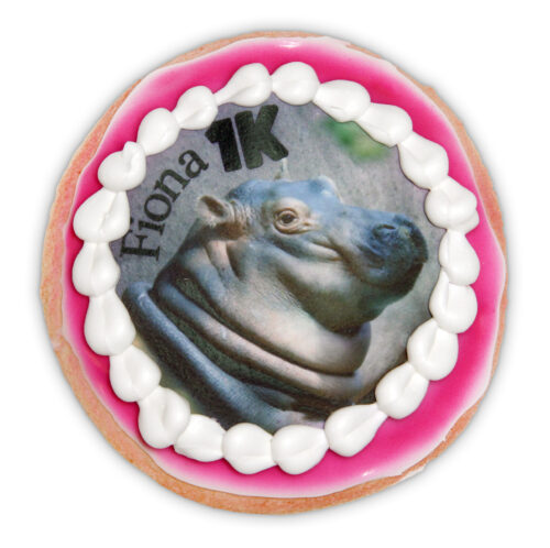 The Truth Cookie by Fiona Dunbar The Truth Cookie by Fiona Dunbar